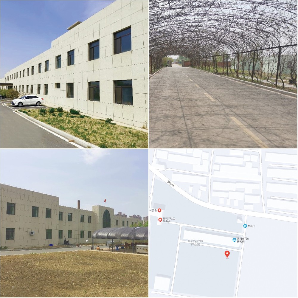 沈阳市花草钻研所